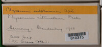 Image Associated With the Occurence